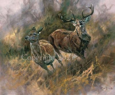 Deer Stag Limited Edition Print 'The Mating Game' by John Trickett
