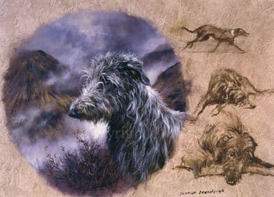 Deerhound Blank Greetings Card 