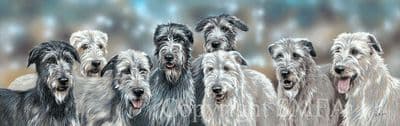 Deerhound Limited Edition Print 'Out for the Craic' by Paul Doyle
