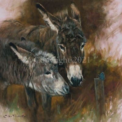 Donkey Limited Edition Print 'Butterfly Kisses' by John Trickett