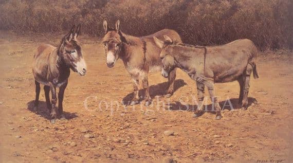 Donkey Limited Edition Print 'Donkey Serenade' by Frank Wright