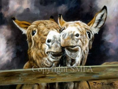 Donkey Limited Edition Print 'The Kiss' by John Trickett