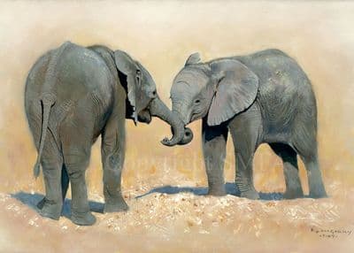Elephant Blank Greetings Card 'Brothers' by Pip McGarry C270