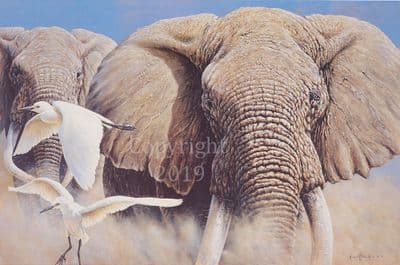 Elephant Limited Edition Print 'Make Way' by Michael Kitchen-Hurle