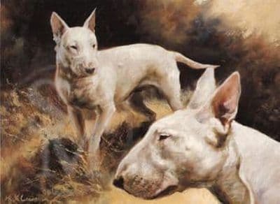 English Bull Terriers Blank Greetings Card by Mick Cawston C39