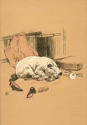 English Bulldog Blank Greetings Card  'Guilty' by Cecil Aldin C294