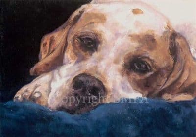 English Pointer Blank Greetings Card 'At Home' by Amelia Siddle C357