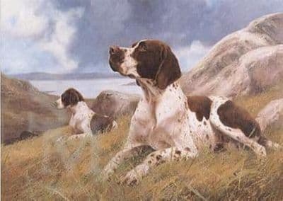 English Pointer Blank Greetings Card 'Ready And Waiting' by John Trickett B10