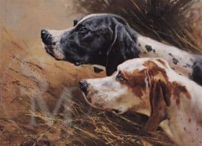 English Pointers Blank Greetings Card by Mick Cawston C36