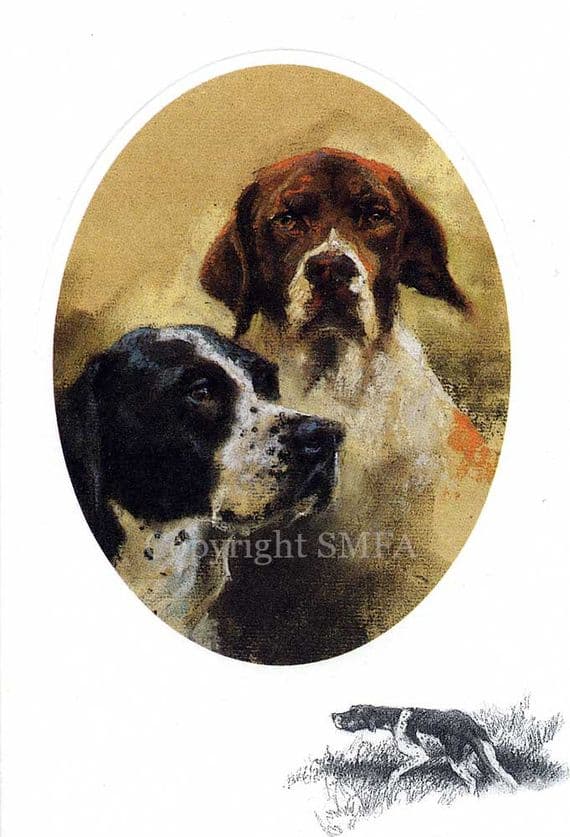 English Pointers Blank Greetings Card by Mick Cawston CE18
