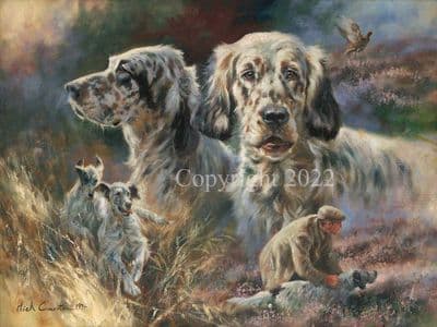 English Setter Blank Greetings Card 'English Setters' by Mick CawstonB70