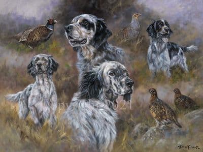 English Setter Limited Edition Print 'English Setters' by John Trickett
