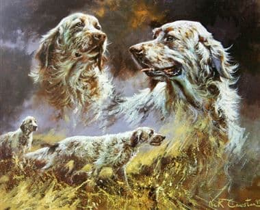 English Setter Limited Edition Print 'If There Is A Heaven' by Mick Cawston