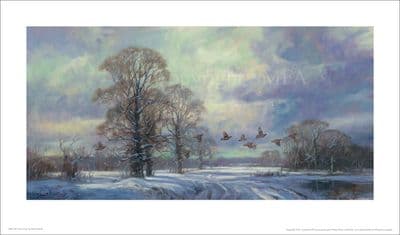 Far Covey Limited edition Partridge Print by John Trickett