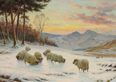 Farmyard Christmas Cards