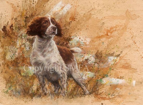 Field Work Original Oil on Canvas Springer Spaniel Painting