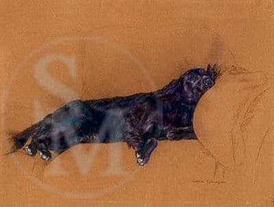 Flatcoat Retriever Limited Edition Print 'Out Flat' by Debbie Gillingham