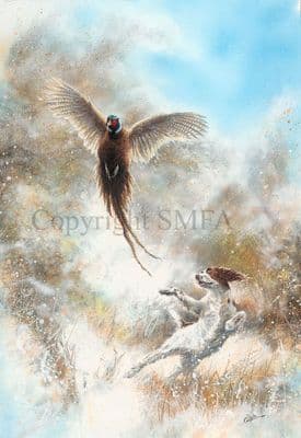 Flushed Original Mixed Media painting by Paul Doyle