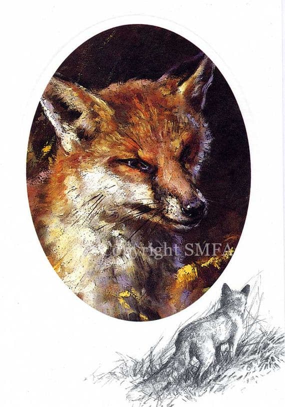 Fox Blank Greetings Card 'A Wily Fellow' by Mick Cawston CE12