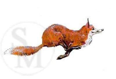 Fox Blank Greetings Card 'Catch Me if you Can' by Malcolm Coward C259