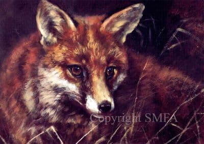 Fox Blank Greetings Card 'Charlie' by Mick Cawston B61