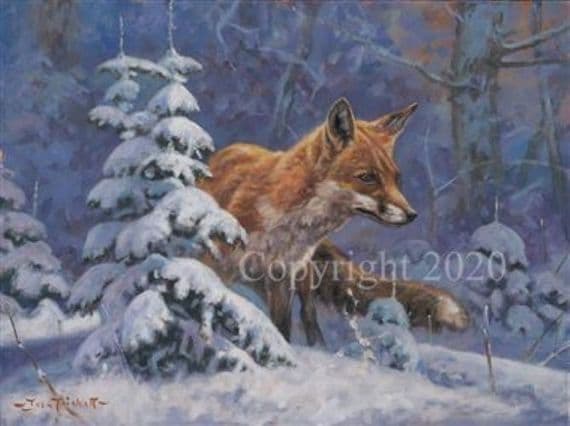 Fox Blank Greetings Card 'Charlie in the Snow' by John Trickett C620