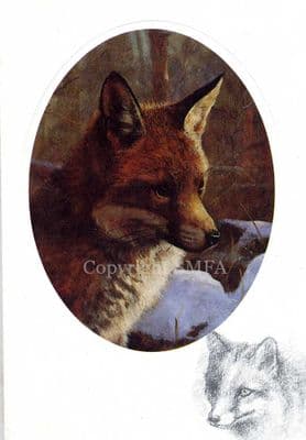 Fox Blank Greetings Card 'Fox In The Snow' by John Trickett CE19