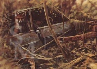 Fox Blank Greetings Card 'His New Home' by Mick Cawston  B14