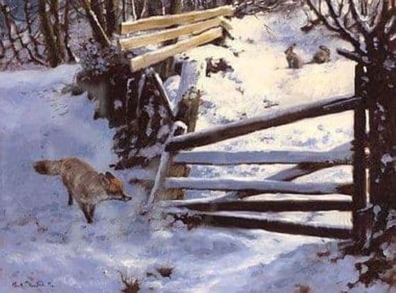 Fox Blank Greetings Card 'Trouble Just Around the Corner' by Mick Cawston C405