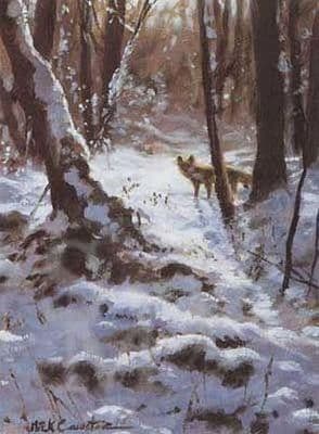 Fox Blank Greetings Card Winter Fox by Mick Cawston B154