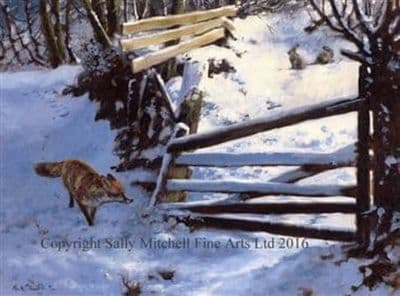 Fox Christmas Cards 'Trouble Just Around the Corner' by Mick Cawston C405X