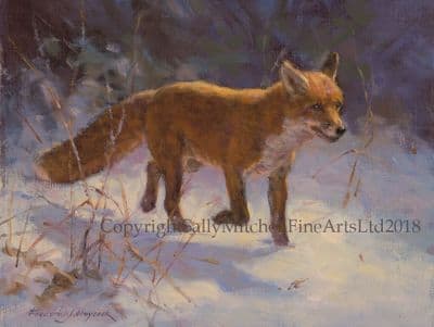 Fox in the Snow Christmas Cards 'Charlie on Patrol' by Frederick Haycock C557X