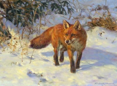 Fox in the Snow Christmas Cards 'Christmas Stroll' by Frederick Haycock C503X