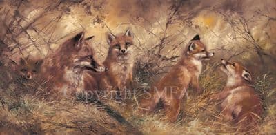 Fox Limited Edition Canvas Print 'Fox and Cubs' by Mick Cawston CWNGC-15