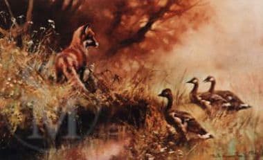 Fox Limited Edition Print 'Strength In Numbers' by Mick Cawston