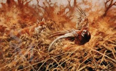 Fox Limited Edition Print 'The Old Dispute' by Mick Cawston