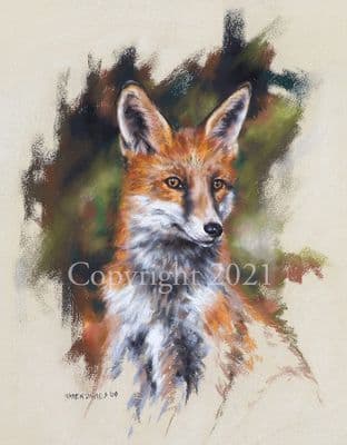 Fox Limited Edition Print 'The Young Pretender' by Karen Davies