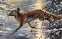 Fox Limited Edition Print 'Uninvited Guests' by Mick Cawston