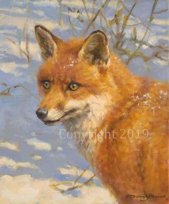 Fox Original Oil on Canvas 'Snow Fox' by Frederick Haycock