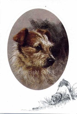 Fox Terrier Blank Greetings Card by Mick Cawston CE2