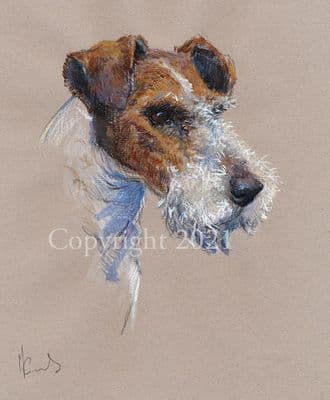 Fox Terrier Limited Edition Print 'Fox Terrier' by Malcolm Coward