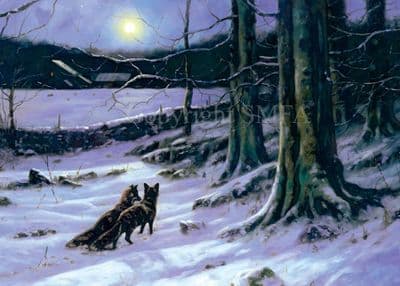 Foxes in the Snow Christmas Cards 'Midnight Tryst' by John Trickett C332X