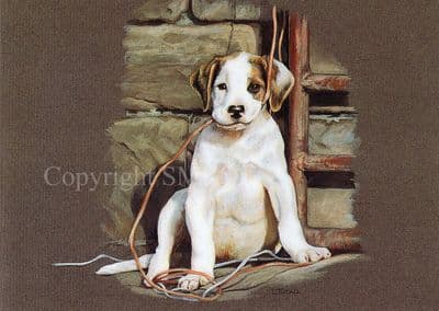 Foxhound Blank Greetings Card 'All Strung Up' by Linda Tindall  B164