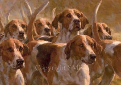 Foxhound Blank Greetings Card 'Great Expectation' by Frederick Haycock C378
