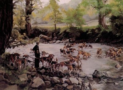 Foxhound Blank Greetings Card 