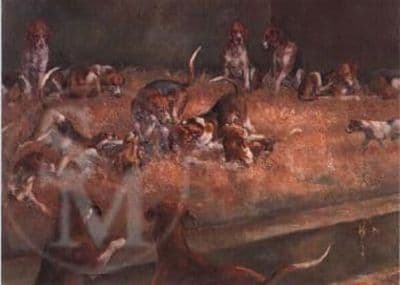 Foxhound Blank Greetings Card 'On The Benches' by Elizabeth Scrivener C18