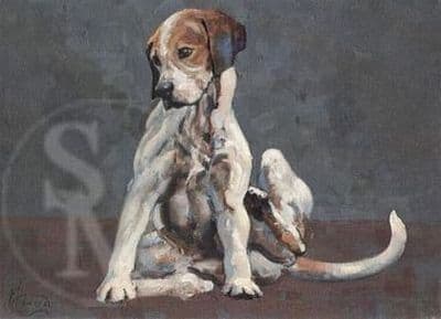 Foxhound Blank Greetings Card 'Turning em Over' by Malcolm Coward B65