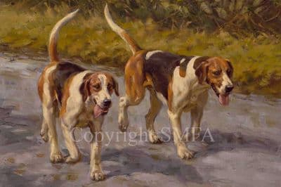 Foxhound Limited Edition Print 'After a Good Run' by Frederick Haycock