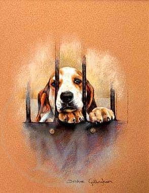 Foxhound Limited Edition Print 'Doing Time' by Debbie Gillingham
