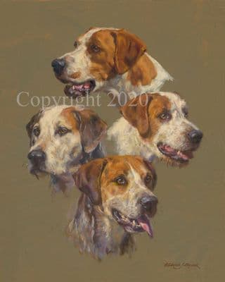 Foxhound Limited Edition Print 'Four of the Best' by Frederick Haycock